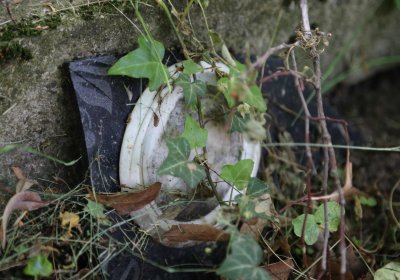 Městský hřbitov Čáslav, Omnium, 2017