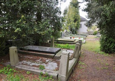 Hřbitov Starý Ples, Omnium, 2017