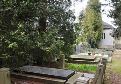 Hřbitov Starý Ples, Omnium, 2017