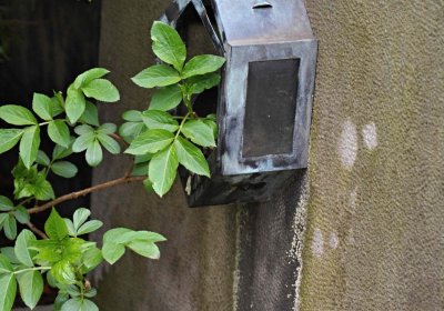 Hřbitov Starý Ples, Omnium, 2017