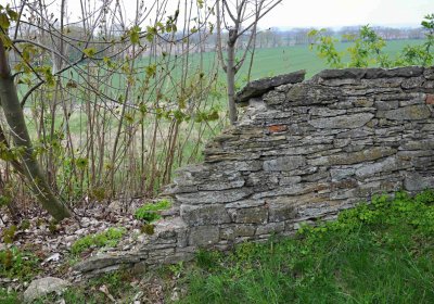 Hřbitov Starý Ples, Omnium, 2017