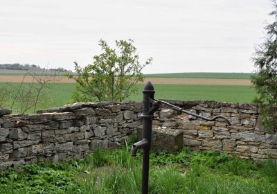 Hřbitov Starý Ples, Omnium, 2017