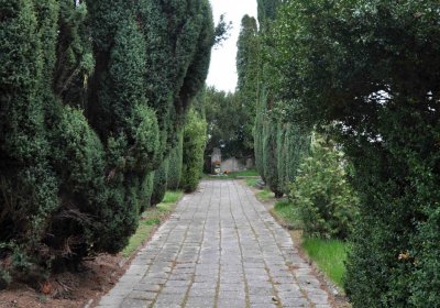 Hřbitov Starý Ples, Omnium, 2017