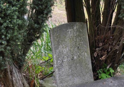 Hřbitov Starý Ples, Omnium, 2017