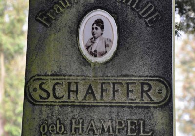 Vojenský hřbitov Josefov, Omnium, 2017