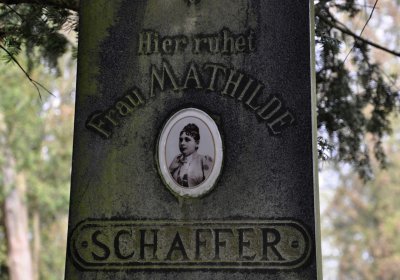 Vojenský hřbitov Josefov, Omnium, 2017