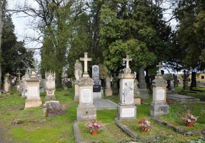 Vojenský hřbitov Josefov, Omnium, 2017