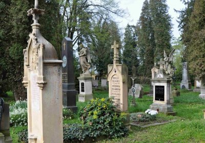 Vojenský hřbitov Josefov, Omnium, 2017