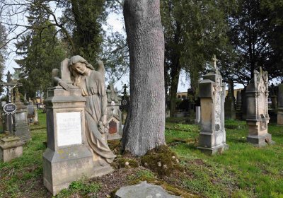 Vojenský hřbitov Josefov, Omnium, 2017