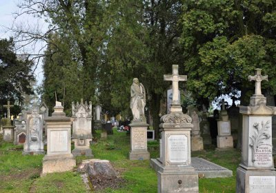 Vojenský hřbitov Josefov, Omnium, 2017