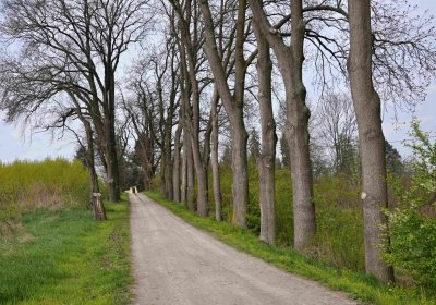 Vojenský hřbitov Josefov, Omnium, 2017