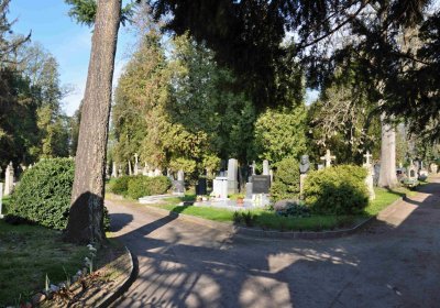 Vojenský hřbitov Josefov, Omnium, 2017