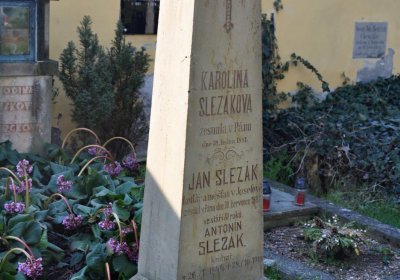 Vojenský hřbitov Josefov, Omnium, 2017