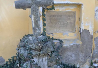 Vojenský hřbitov Josefov, Omnium, 2017