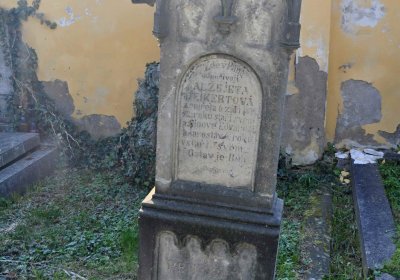 Vojenský hřbitov Josefov, Omnium, 2017