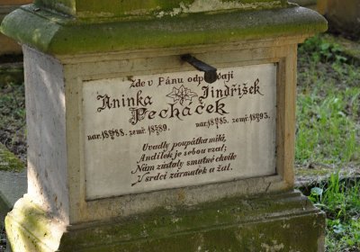 Vojenský hřbitov Josefov, Omnium, 2017