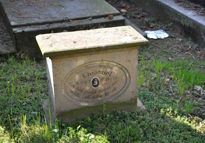 Vojenský hřbitov Josefov, Omnium, 2017