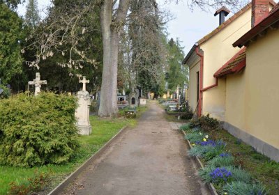 Vojenský hřbitov Josefov, Omnium, 2017