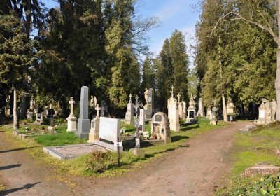 Vojenský hřbitov Josefov, Omnium, 2017