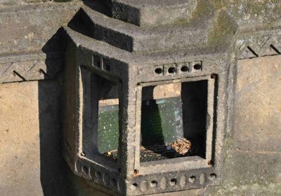 Vojenský hřbitov Josefov, Omnium, 2017