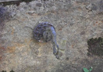 Vojenský hřbitov Josefov, Omnium, 2017