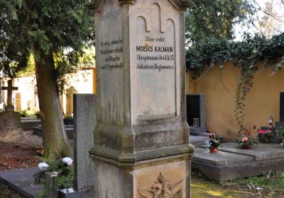 Vojenský hřbitov Josefov, Omnium, 2017