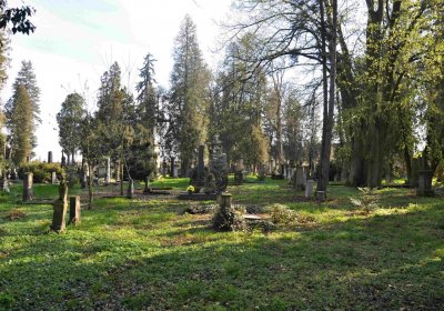 Vojenský hřbitov Josefov, Omnium, 2017