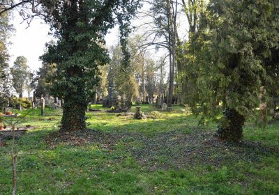 Vojenský hřbitov Josefov, Omnium, 2017