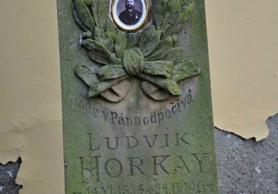 Vojenský hřbitov Josefov, Omnium, 2017