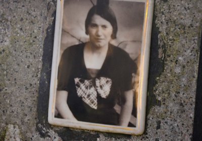 Vojenský hřbitov Josefov, Omnium, 2017