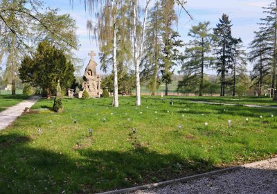 Vojenský hřbitov Josefov, Omnium, 2017