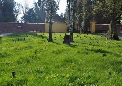 Vojenský hřbitov Josefov, Omnium, 2017