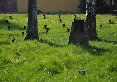 Vojenský hřbitov Josefov, Omnium, 2017