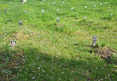 Vojenský hřbitov Josefov, Omnium, 2017