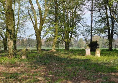 Vojenský hřbitov Josefov, Omnium, 2017