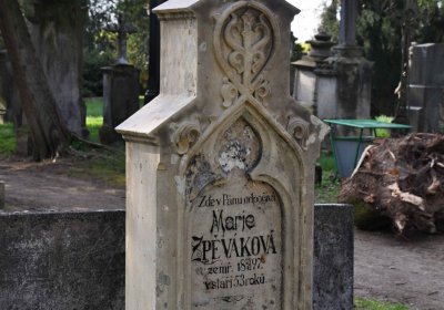 Vojenský hřbitov Josefov, Omnium, 2017