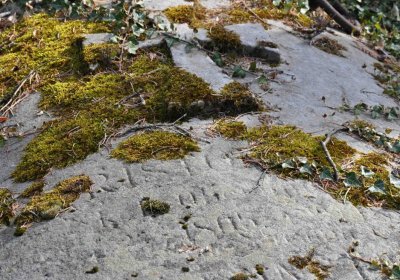 Vojenský hřbitov Josefov, Omnium, 2017