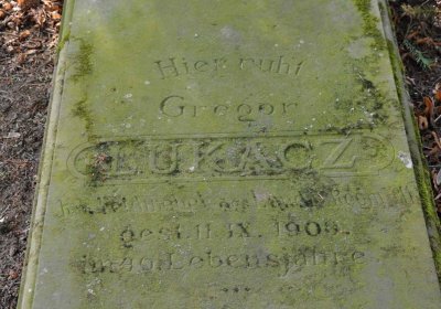 Vojenský hřbitov Josefov, Omnium, 2017