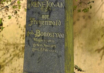 Vojenský hřbitov Josefov, Omnium, 2017