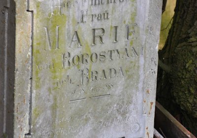 Vojenský hřbitov Josefov, Omnium, 2017