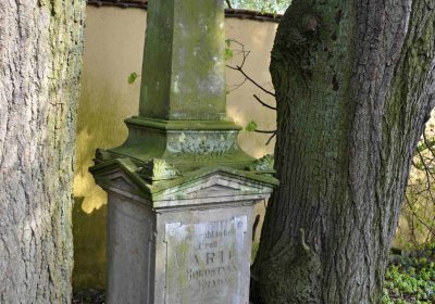 Vojenský hřbitov Josefov, Omnium, 2017