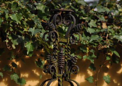 Vojenský hřbitov Josefov, Omnium, 2017