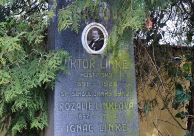 Vojenský hřbitov Josefov, Omnium, 2017