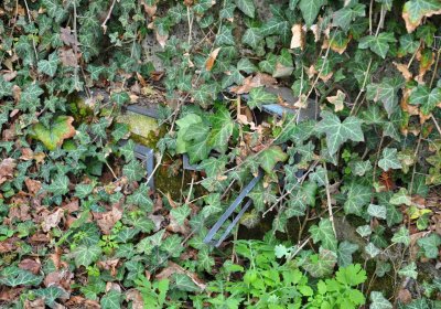 Vojenský hřbitov Josefov, Omnium, 2017