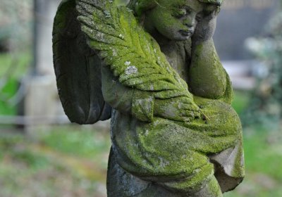 Vojenský hřbitov Josefov, Omnium, 2017