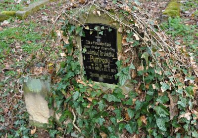 Vojenský hřbitov Josefov, Omnium, 2017