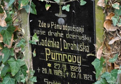 Vojenský hřbitov Josefov, Omnium, 2017