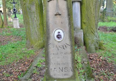 Vojenský hřbitov Josefov, Omnium, 2017