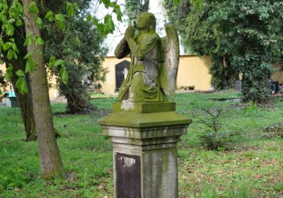 Vojenský hřbitov Josefov, Omnium, 2017