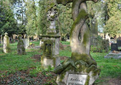 Vojenský hřbitov Josefov, Omnium, 2017